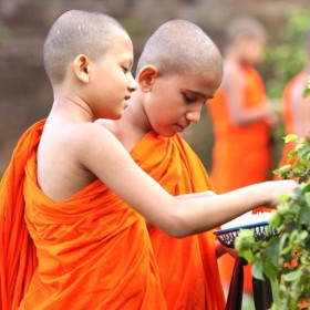 Reflections On buddhist Social Philosophy | Books | BuddhistCC Online BookShop | Rs 650.00