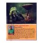 Wasee Giya Sovan Palaya Soya | Books | BuddhistCC Online BookShop | Rs 750.00