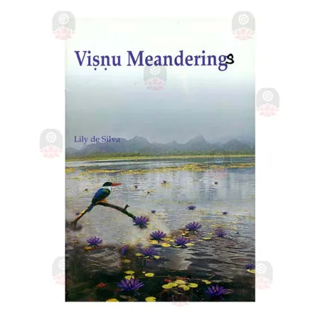 Visnu Meanderings