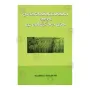 Dasabodhisaththuppaththikatha Hevath Dasa Bosath Katha Puvatha | Books | BuddhistCC Online BookShop | Rs 175.00