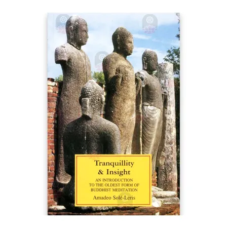 Tranquility And Insight | Books | BuddhistCC Online BookShop | Rs 180.00