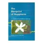 The Blueprint Of Happiness