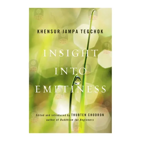Insight In To Emptiness
