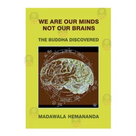 We are our Minds Not our Brains
