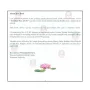 The Buddhist Way Of Life ( For Pre- School and Year 1 Students)